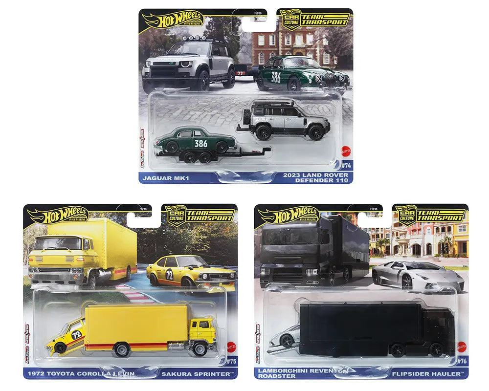 Pre-Order) Hot Wheels 1:64 Team Transport 2024 E Case Set of 3 – Ben's  Wheels